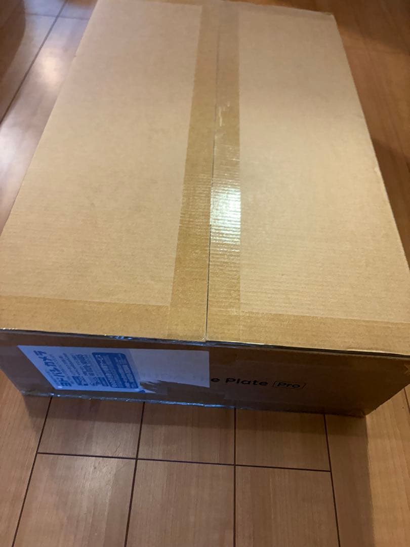 BALMUDA The Plate Pro バルミューダ プレート