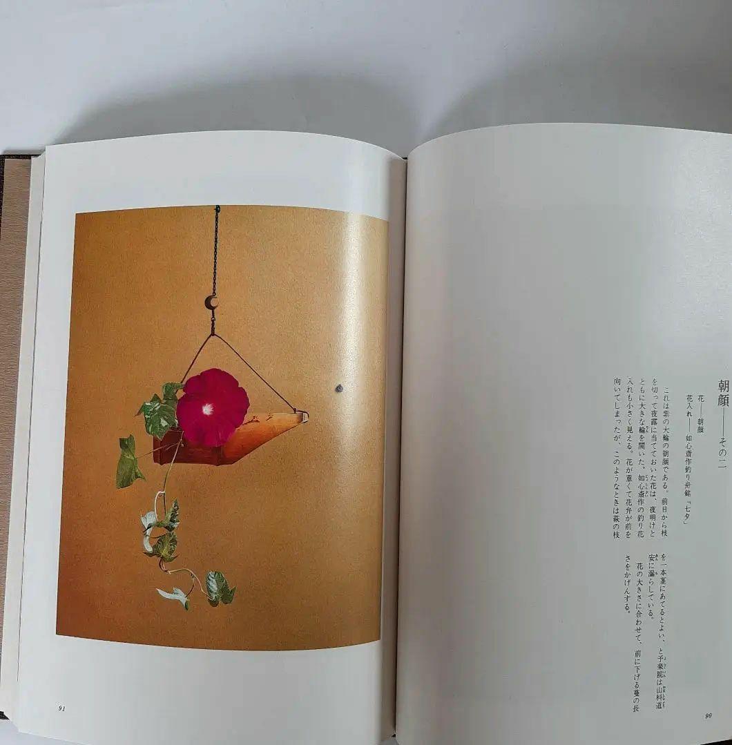 茶花入門 田中仙翁 主婦の友社