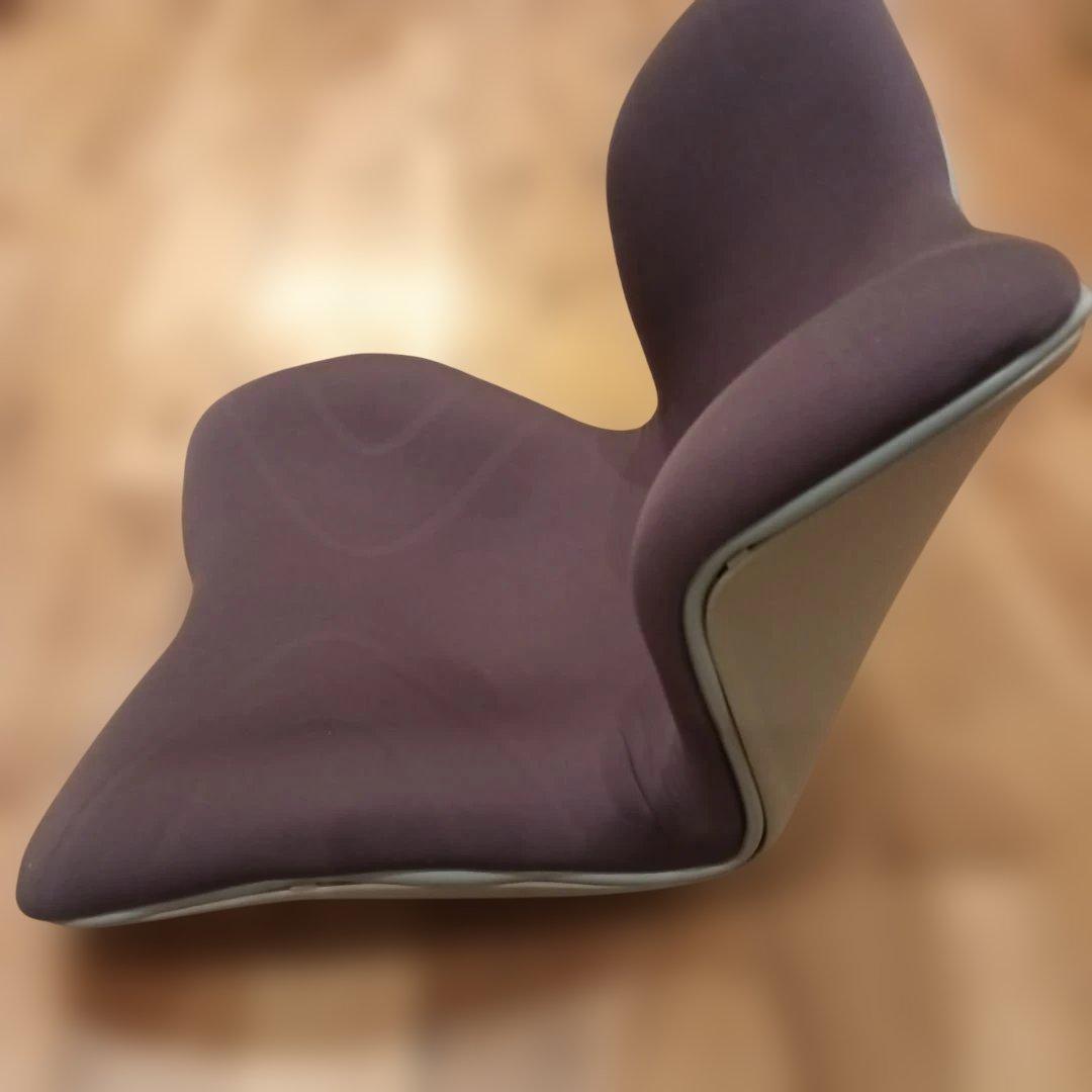 MTG STYLE PREMIUM 　スタイルプレミアム　骨盤サポート