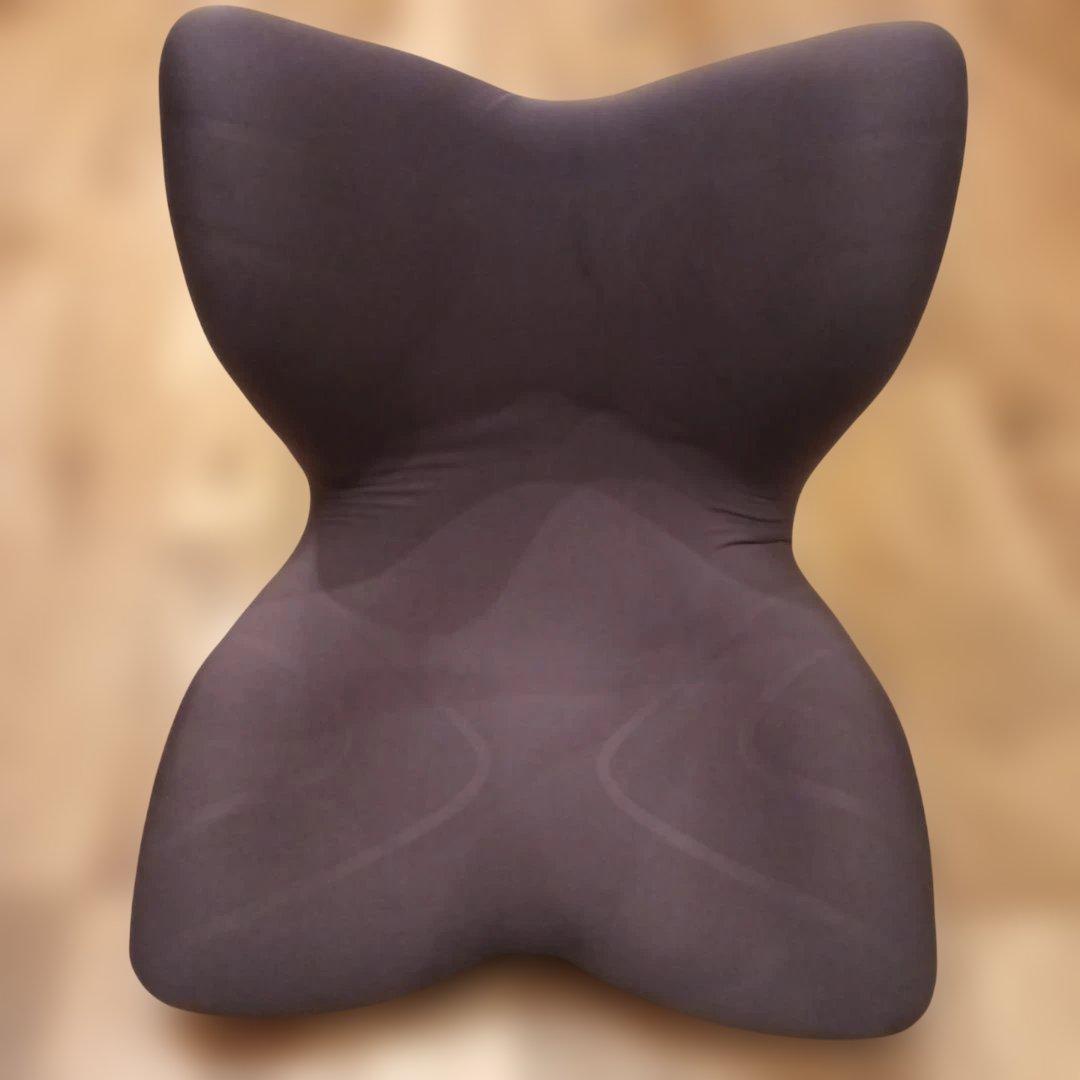 MTG STYLE PREMIUM 　スタイルプレミアム　骨盤サポート