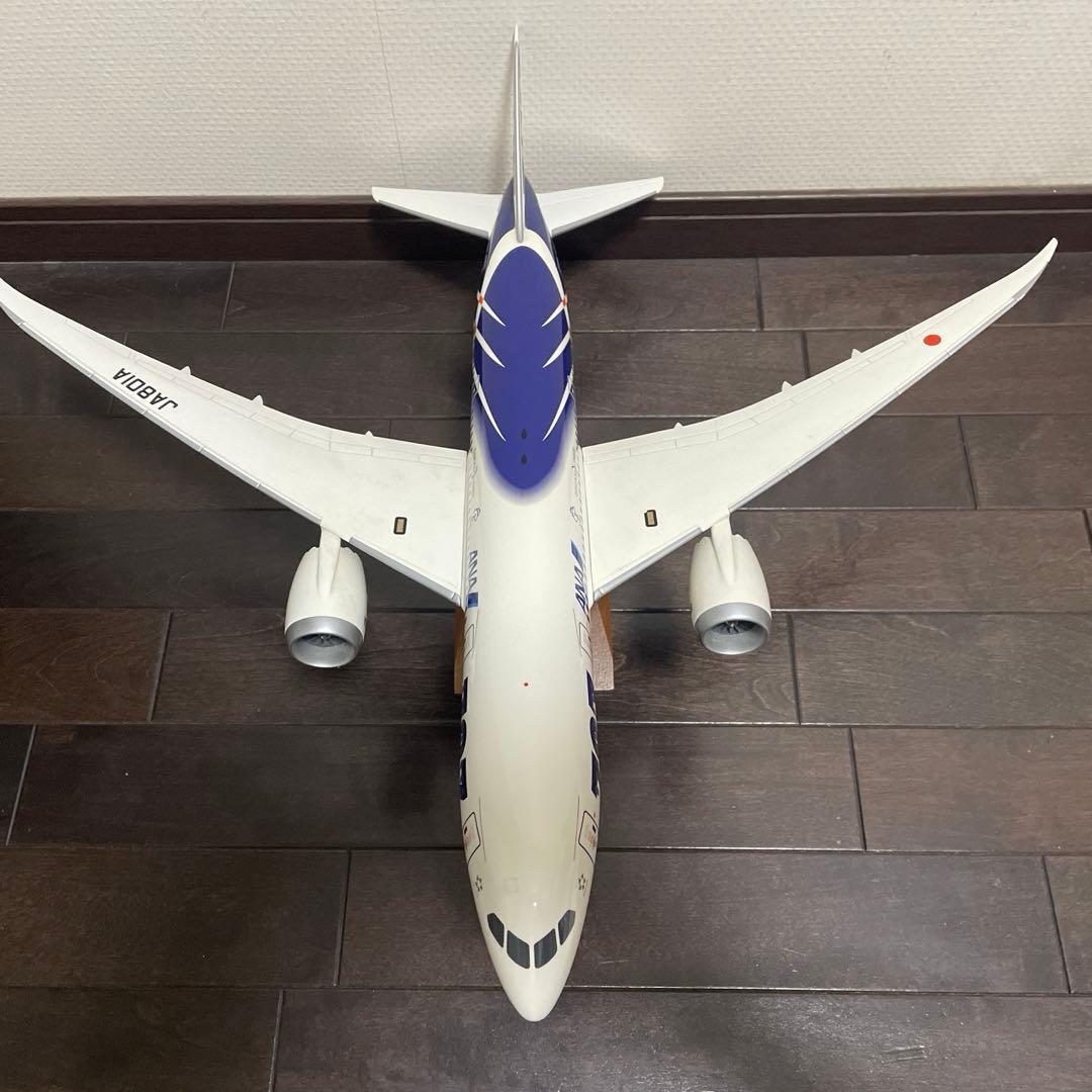 全日空商事 NH00124 1/100 787-8 JA801A 特別塗装