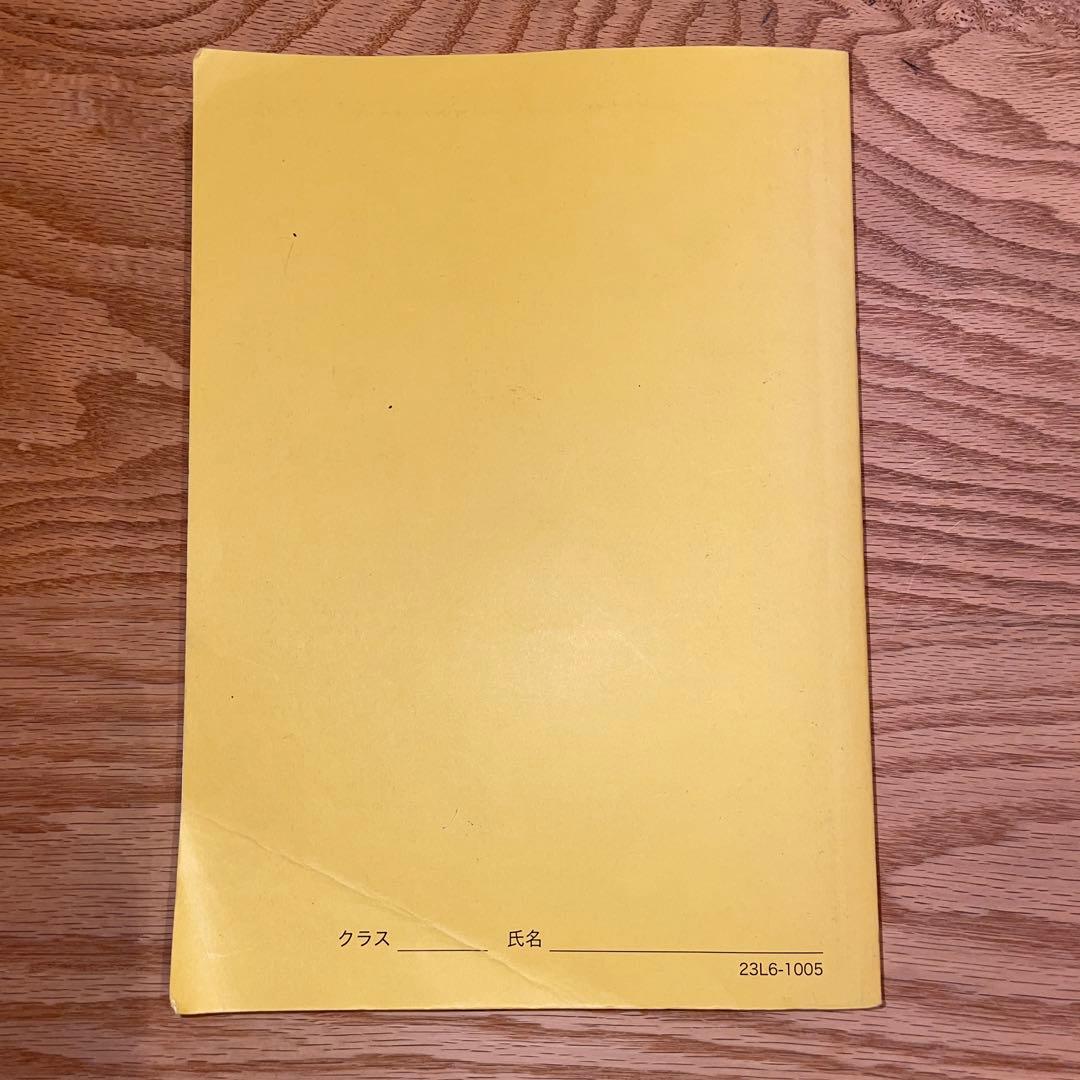 鉄緑会　高3地理　東大地理問題集　問題篇　& 解答解説篇