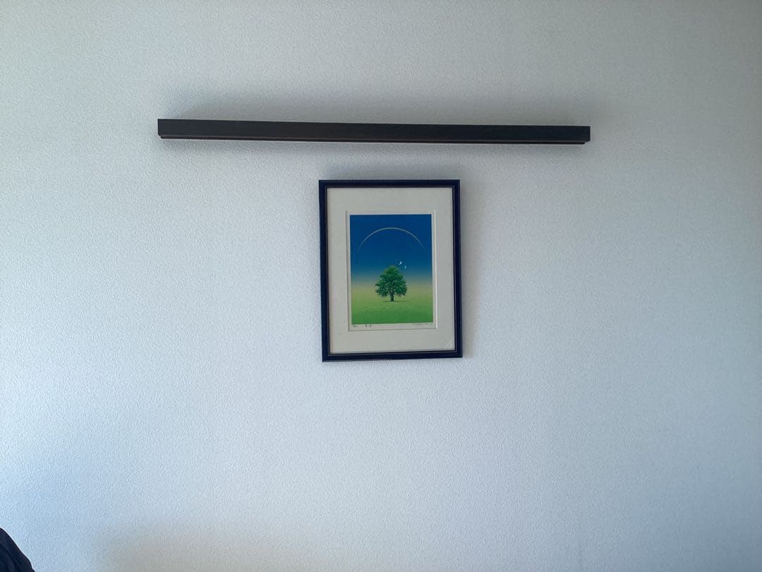 大島康紀　青い鳥