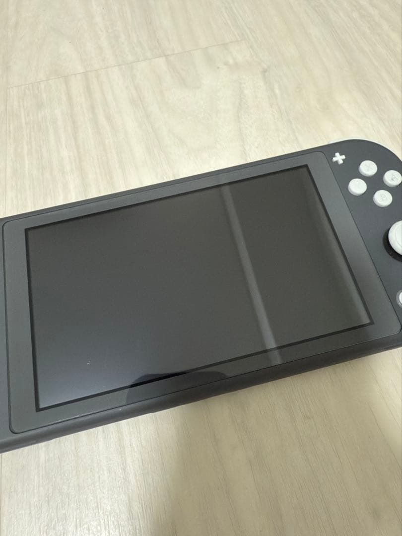 Nintendo Switch Lite 本体+ケース+充電器