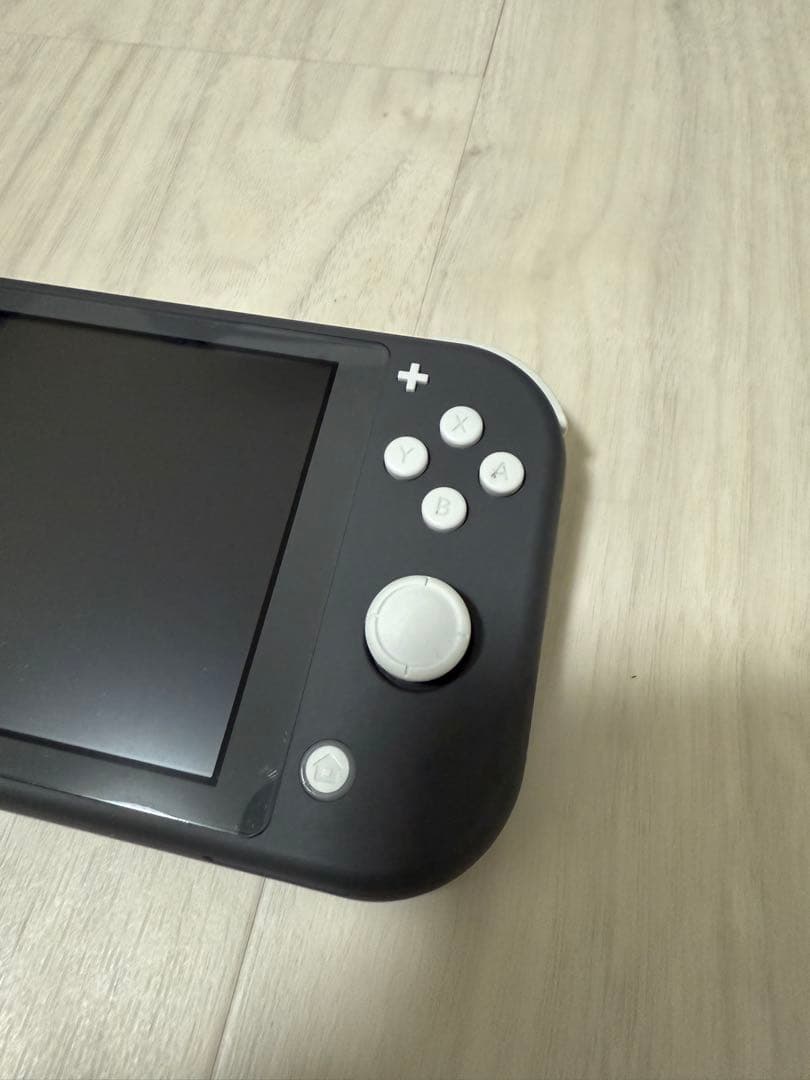 Nintendo Switch Lite 本体+ケース+充電器