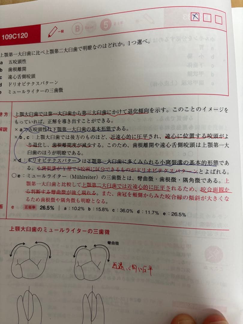 実践 2025全13巻セット　第117回、第118回歯科医師国家試験