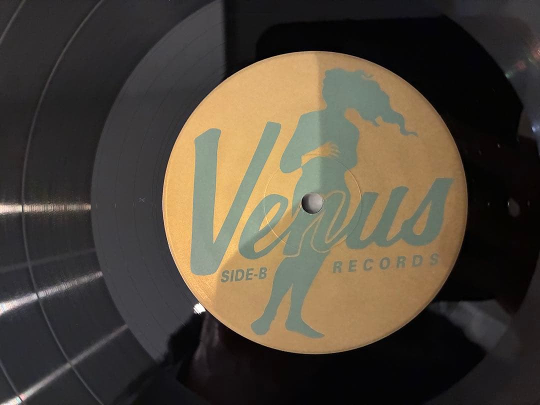 NEW YORK TRIO / BEGIN THE BEGUINE LPレコード