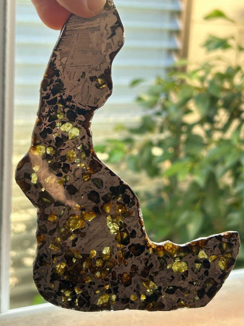 セイムチャン・パラサイト隕石119.00gロシア産クレッシェンド型