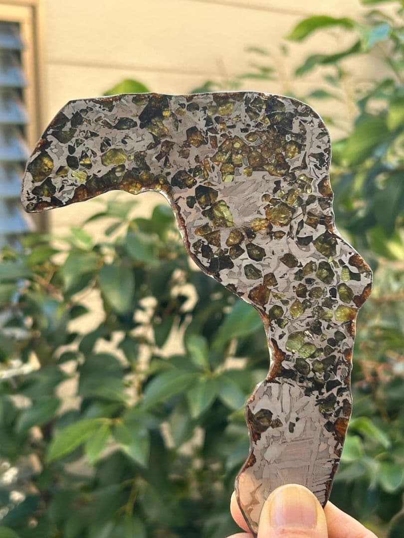 セイムチャン・パラサイト隕石119.00gロシア産クレッシェンド型