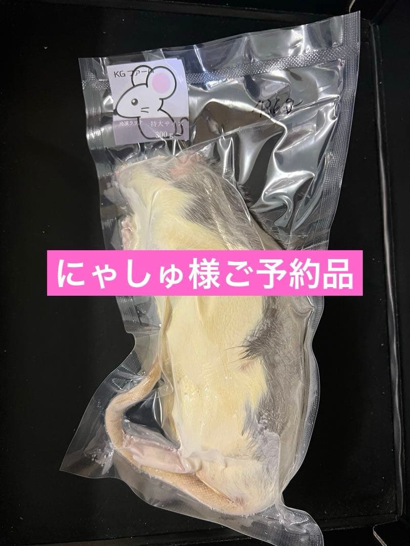 ☆冷凍ラット☆にゃしゅ様ご予約品　リタイア20匹