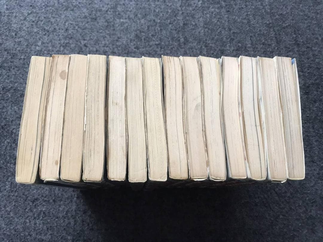 ＊nanoha＊専用　レース鳩0777(全14巻)飯森広一/全初版