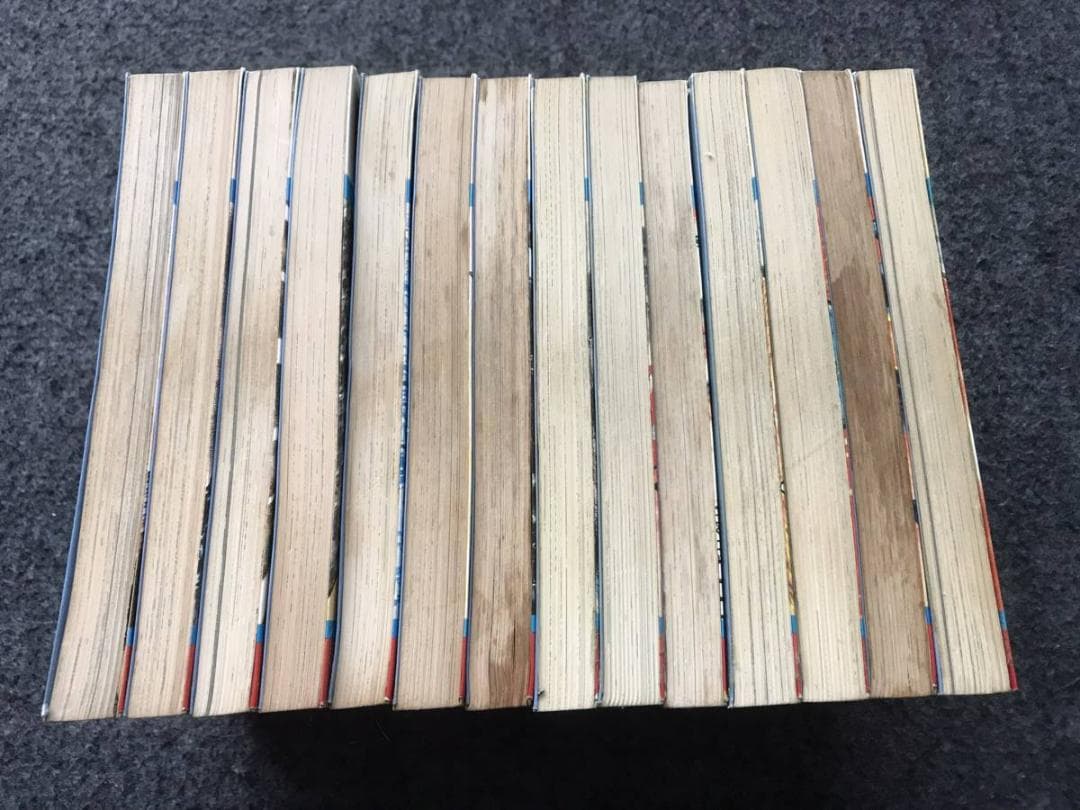 ＊nanoha＊専用　レース鳩0777(全14巻)飯森広一/全初版