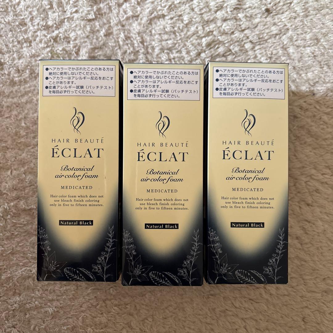 ÉCLAT ボタニカルエアカラー ナチュラルブラック 3個セット