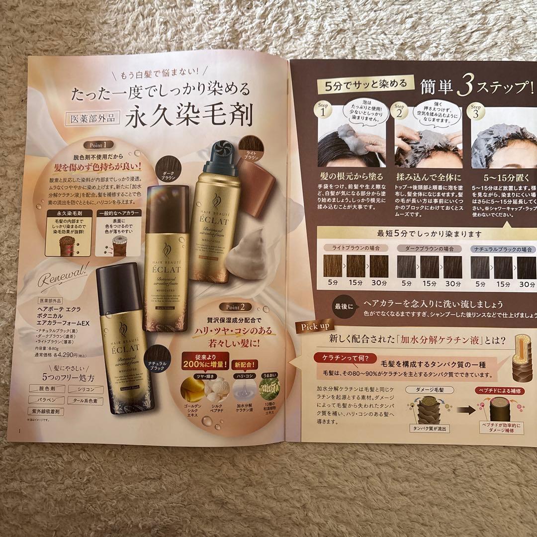 ÉCLAT ボタニカルエアカラー ナチュラルブラック 3個セット