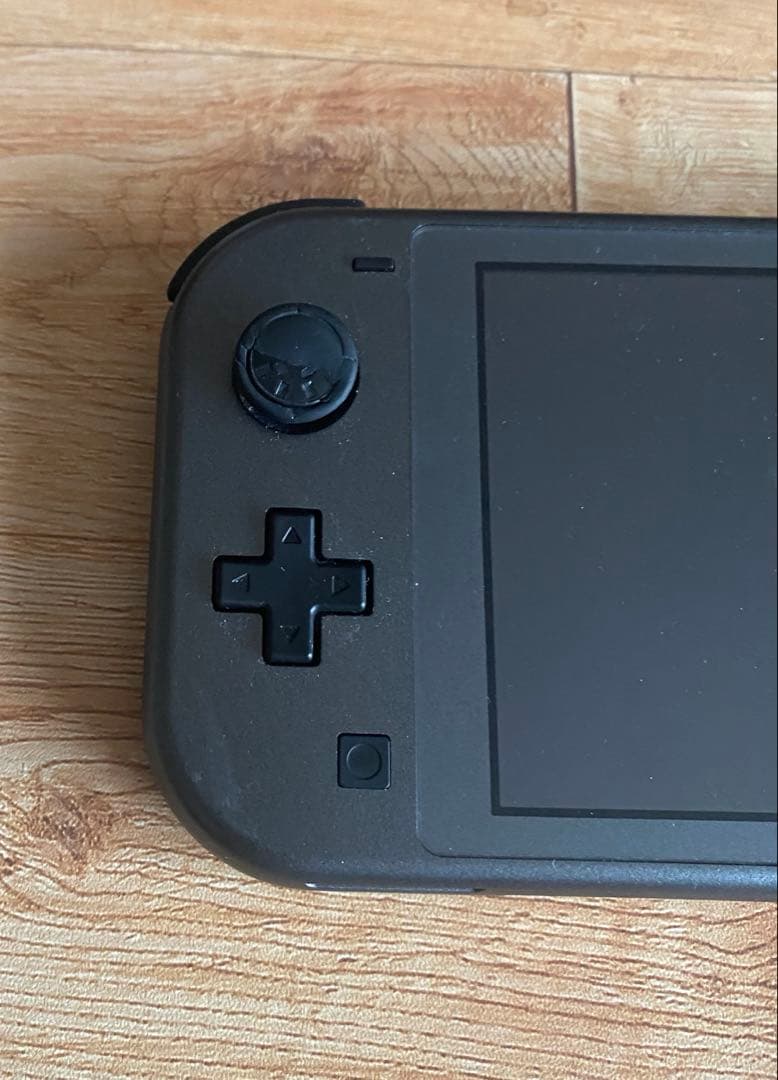 ニンテンドースイッチライト本体 ディアルガ　パルキア