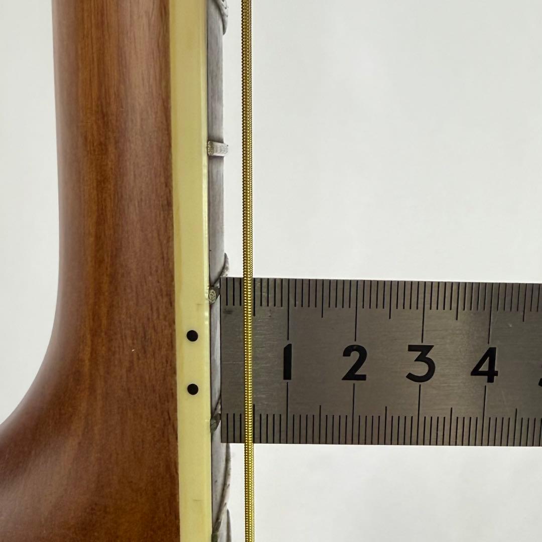 Ovation Celebrity Delax cs247 オベーション