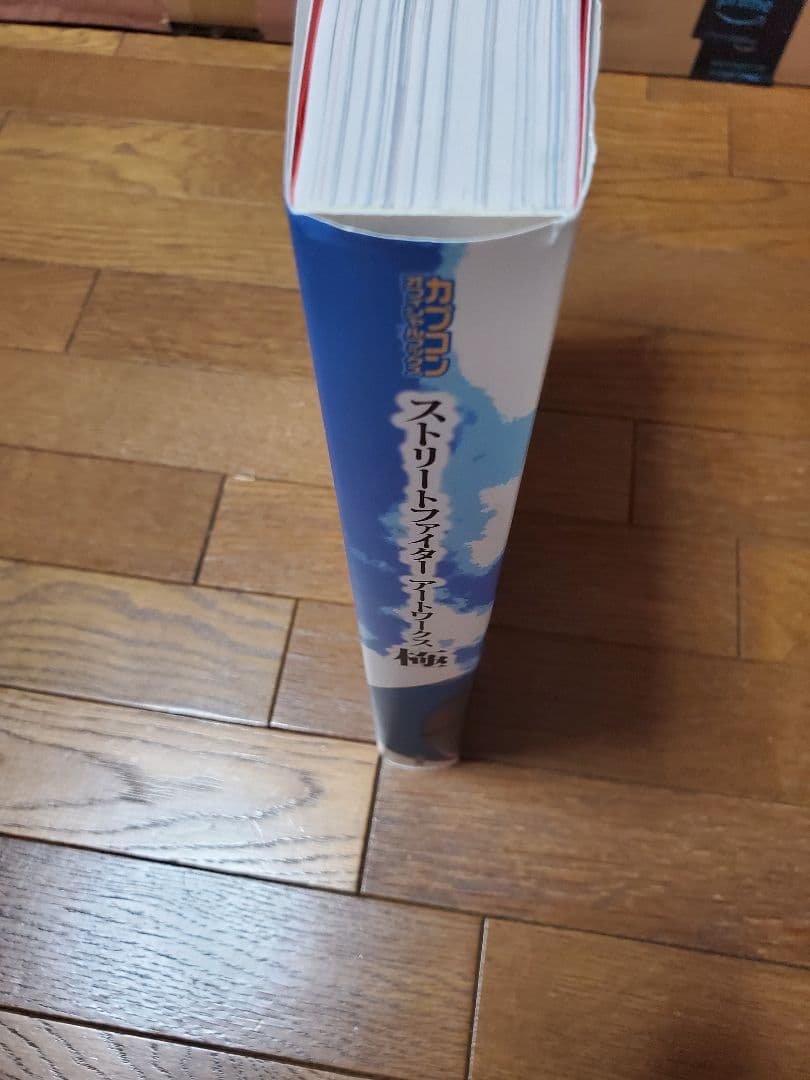 ストリートファイター アートワークス 極　画集　カプコン