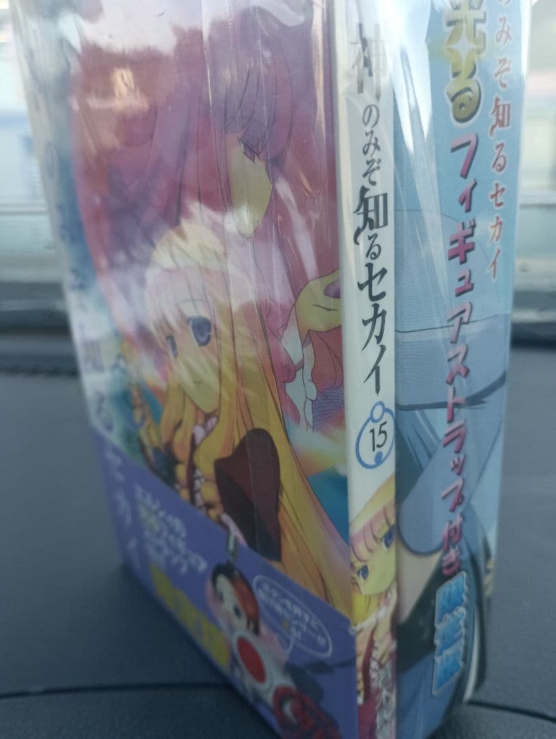 神のみぞ知るセカイ 22