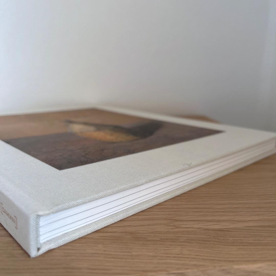 Morandis Objects ジョエルマイロウィッツ モランディ アート *