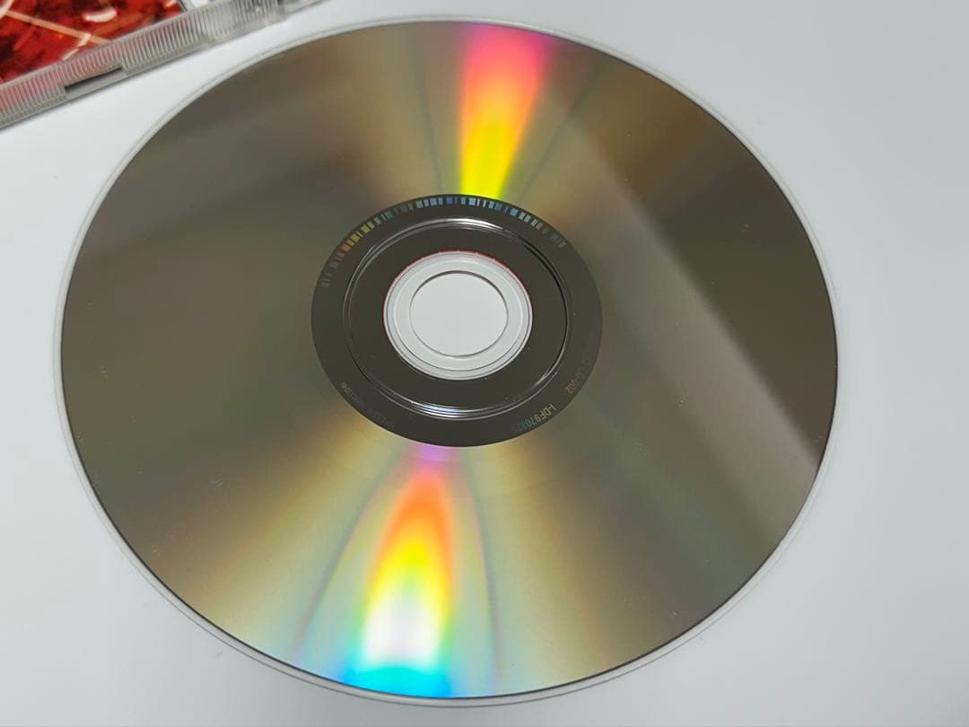 s*d様 核P-Model Big Brother -可逆的分離態様 平沢進