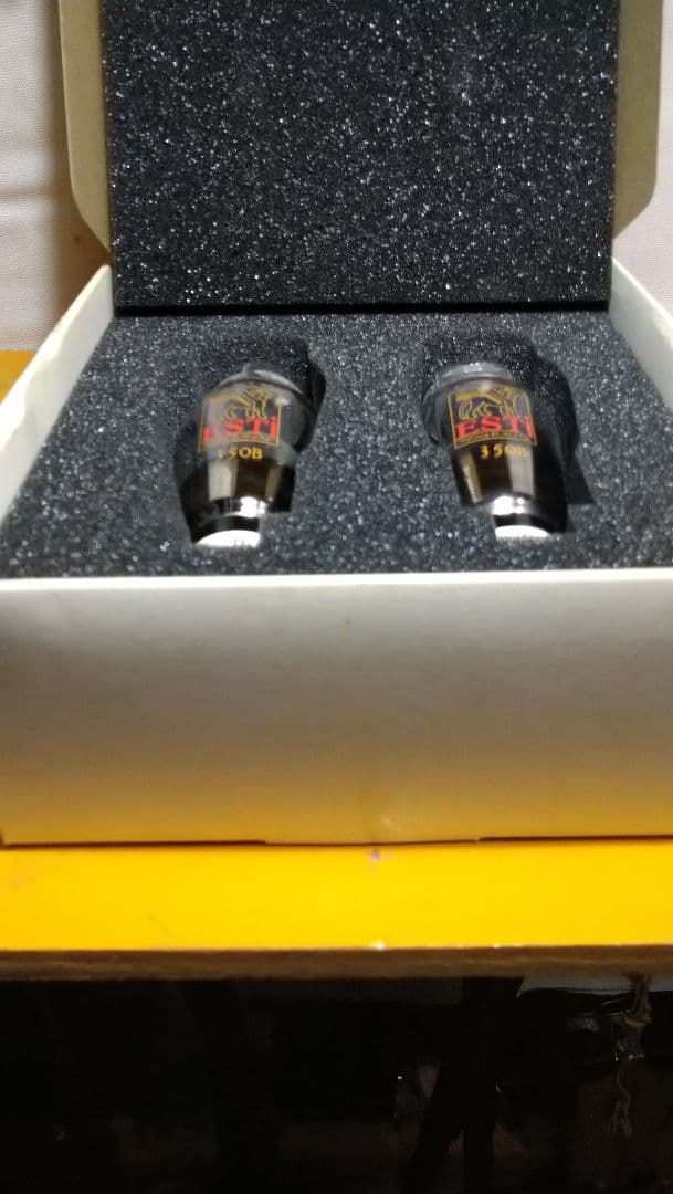 350B／6L6G.２本組、中国製