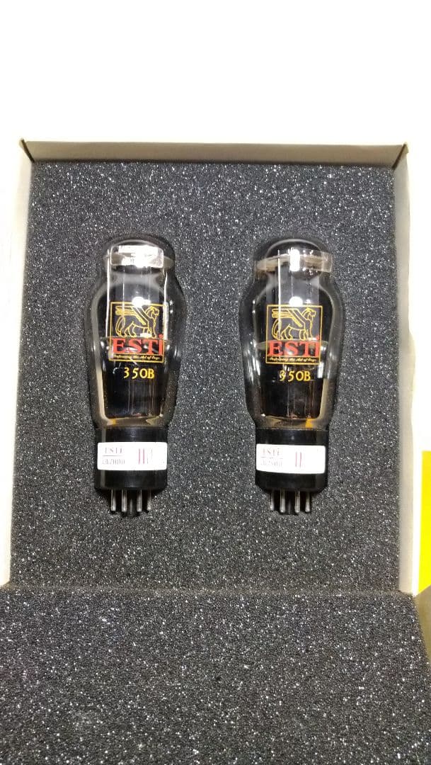 350B／6L6G.２本組、中国製