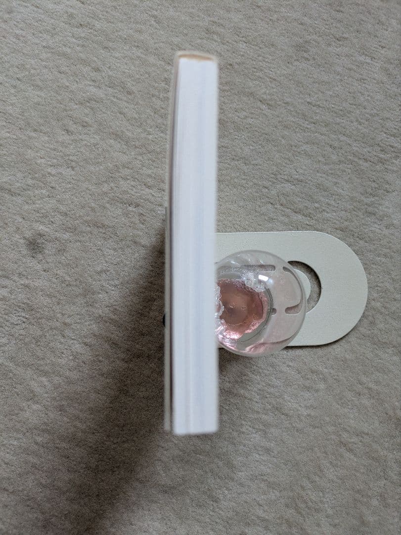 【初版・希少】青幻舎　小倉遊亀　親しきものたち