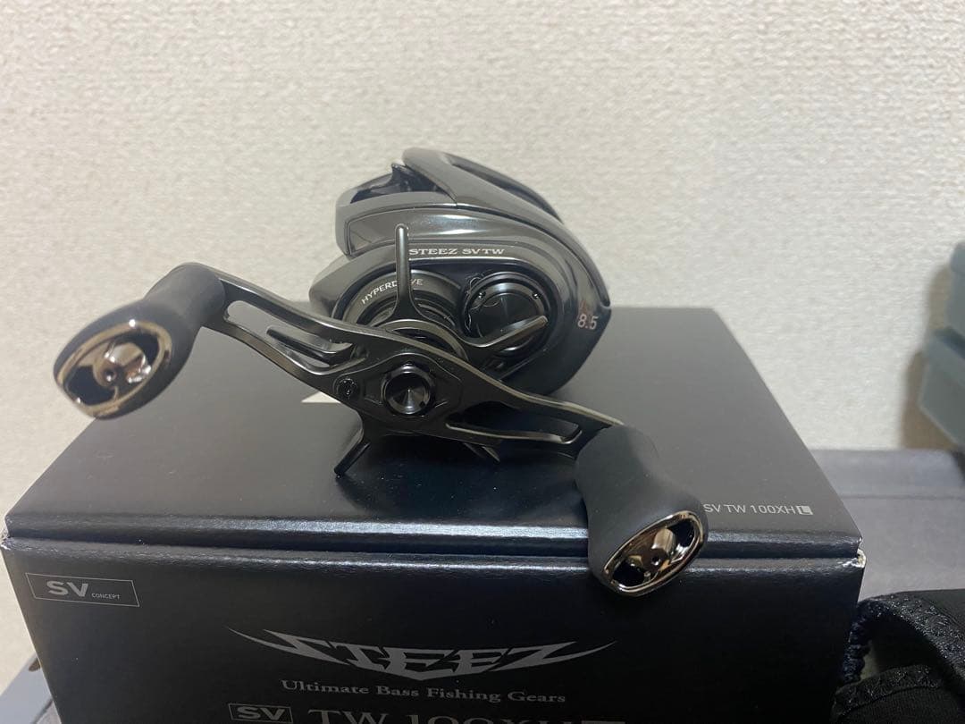 DAIWA 24スティーズ SV TW 100XHL