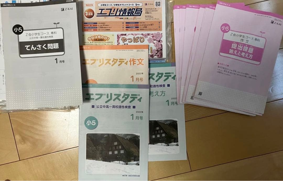 ZKAI中高一貫　中学受験　小学5年生　適性検査対策　作文1年分