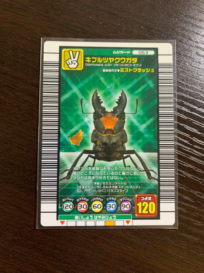 ムシキング　さとう様確認用