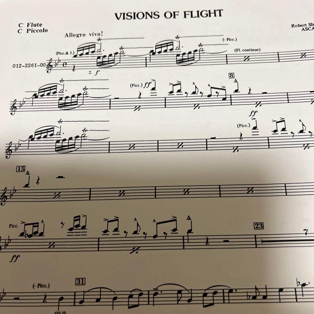 1/18限り値下げ　シェルドン　飛行の幻想