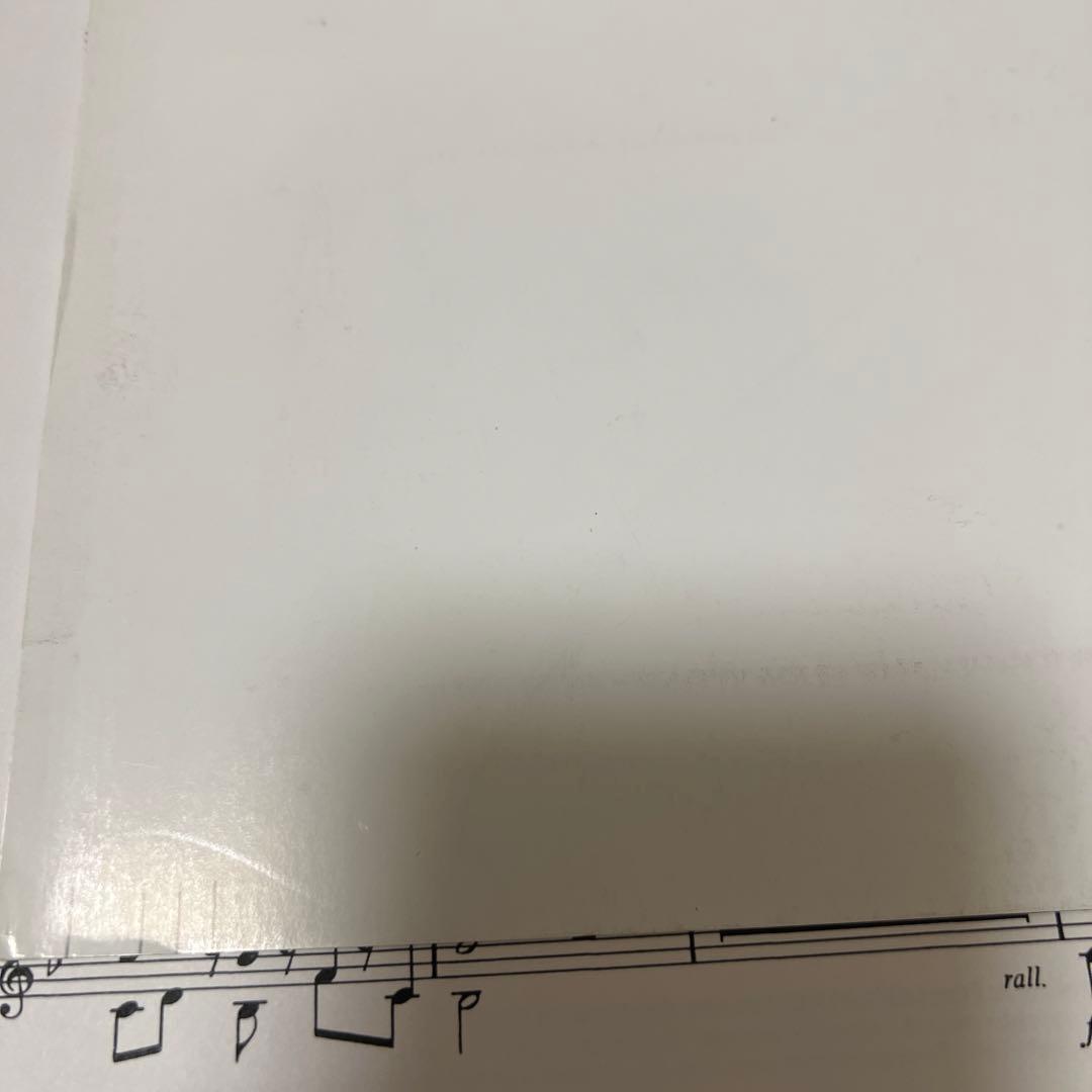 1/18限り値下げ　シェルドン　飛行の幻想