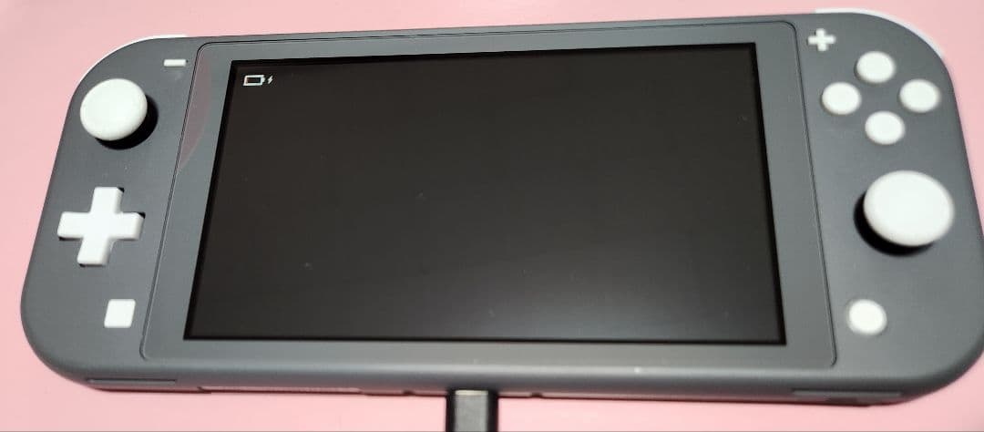 Nintendo Switch Lite 本体 グレー 充電ケーブル付き