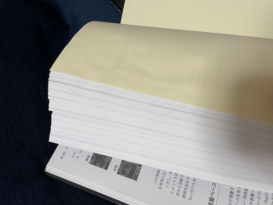 肉体改造のピラミッド栄養編・トレーニング編セット