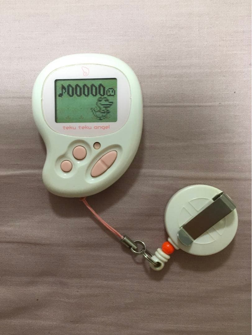 DSてくてく日記　全品セット