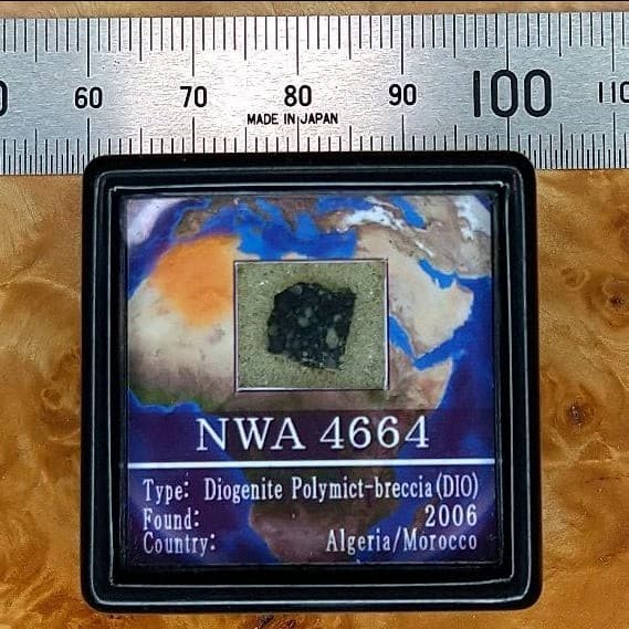 綺麗なダイオジェナイト NWA4664隕石標本
