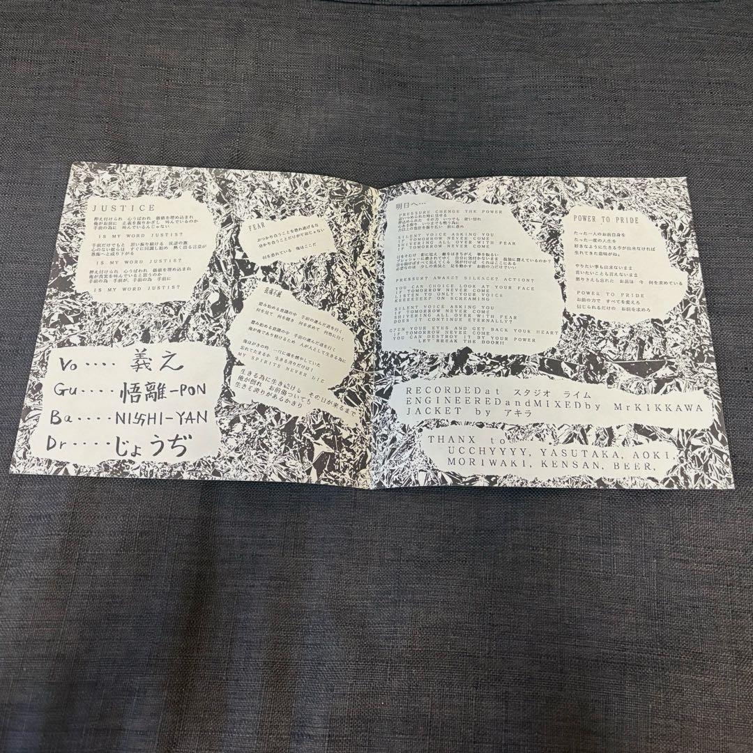 GAIZI 害児 / 我魂不滅 7インチ