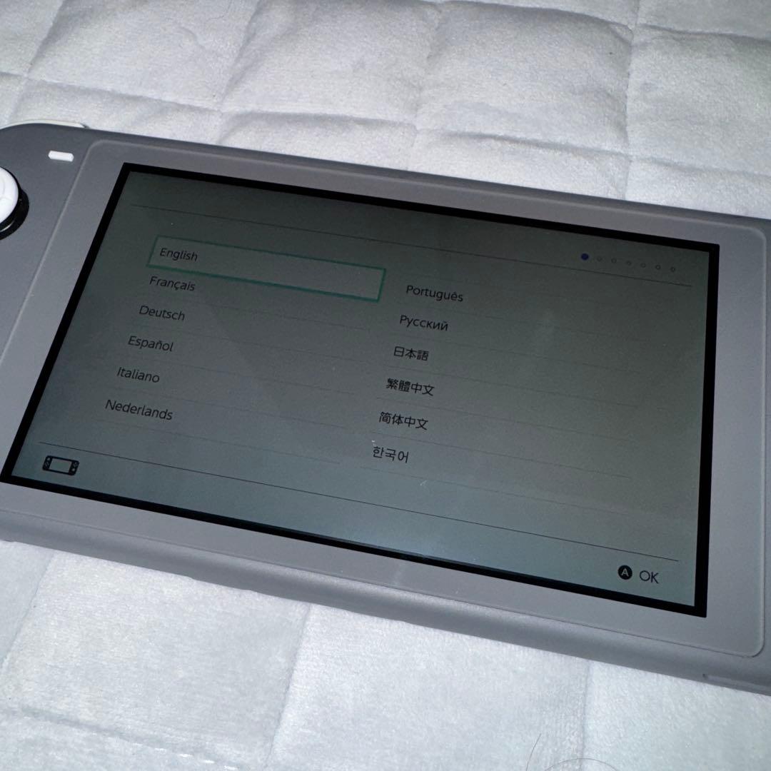 Switch Lite グレー 本体 充電器 スイッチライト