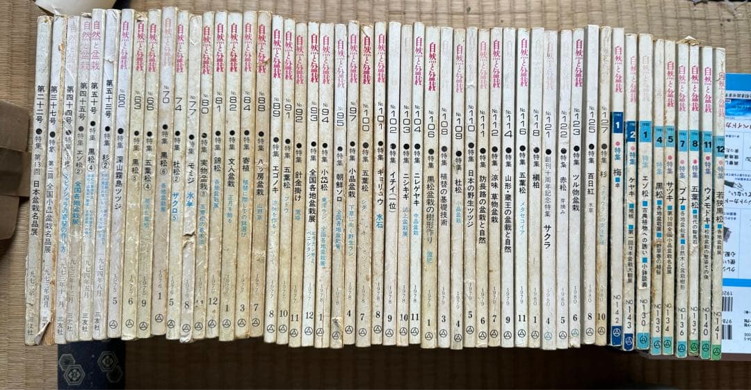 自然と盆栽 バックナンバー