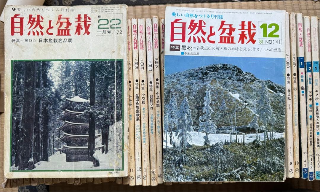 自然と盆栽 バックナンバー