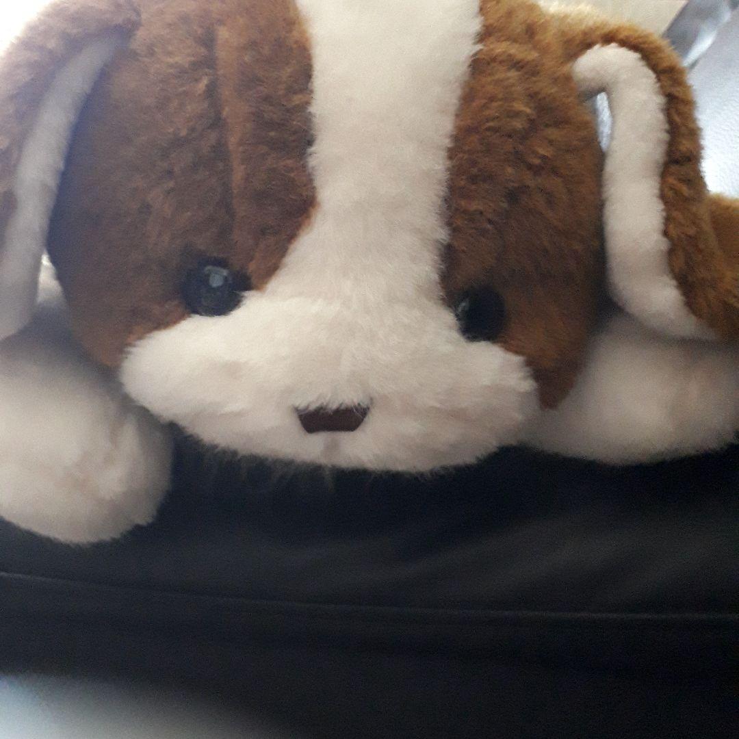 ナシノ、犬のぬいぐるみ