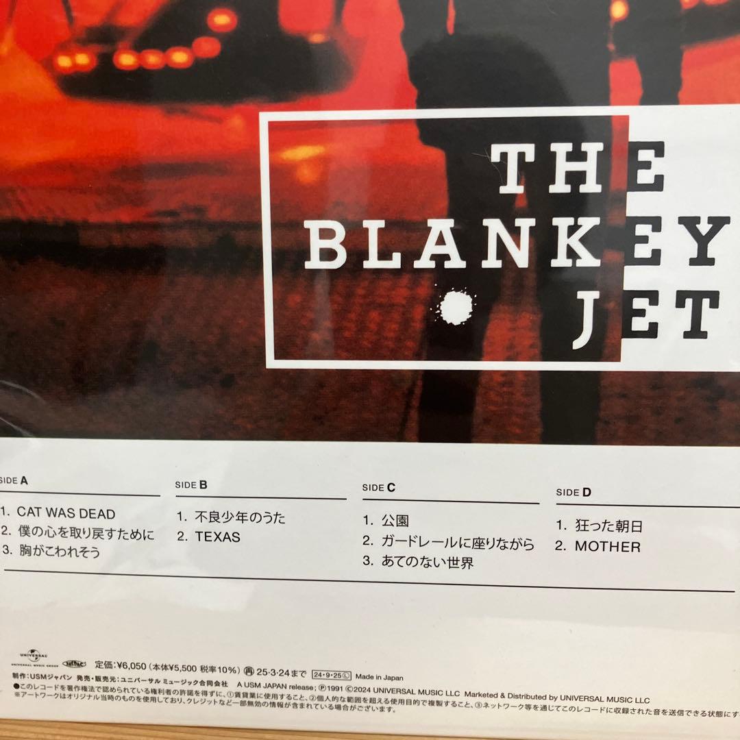 THE BLANKEY JET CITY レコード　1st 2st ２枚組