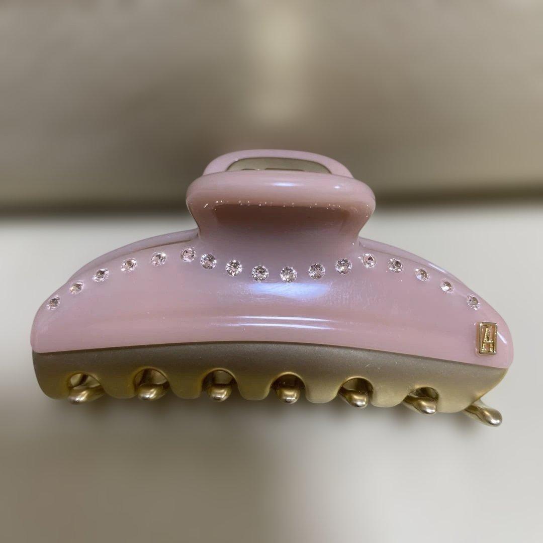 ALEXANDRE DE PARIS クリップ　M