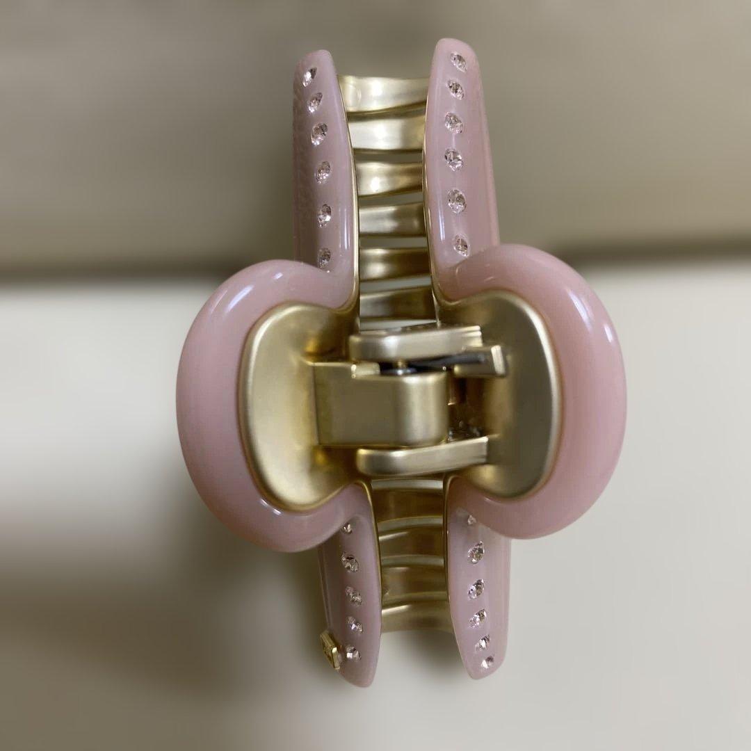 ALEXANDRE DE PARIS クリップ　M