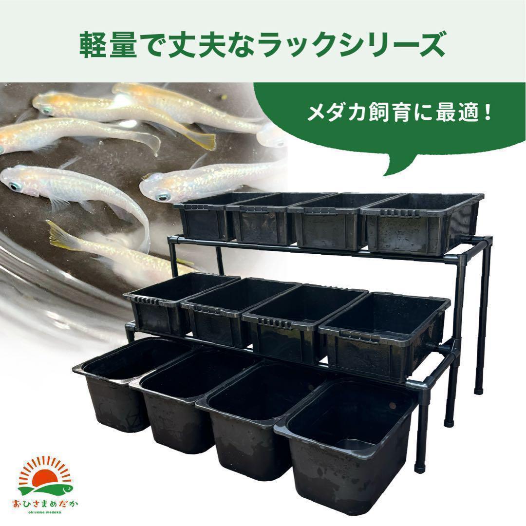 SALE★メダカ飼育ラック白2段12個置き★ めだか飼育棚NVBOXビオトープ