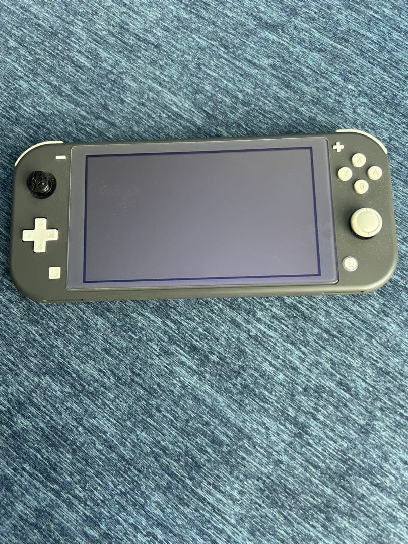 N*o様 Nintendo Switch Lite グレー 本体