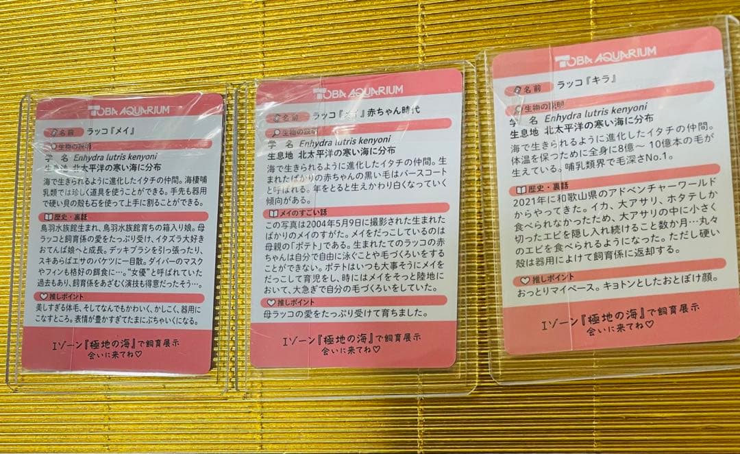 鳥羽水族館⭐️70周年記念 ⭐️コレクションカード ⭐️メイ（レアカード）セット