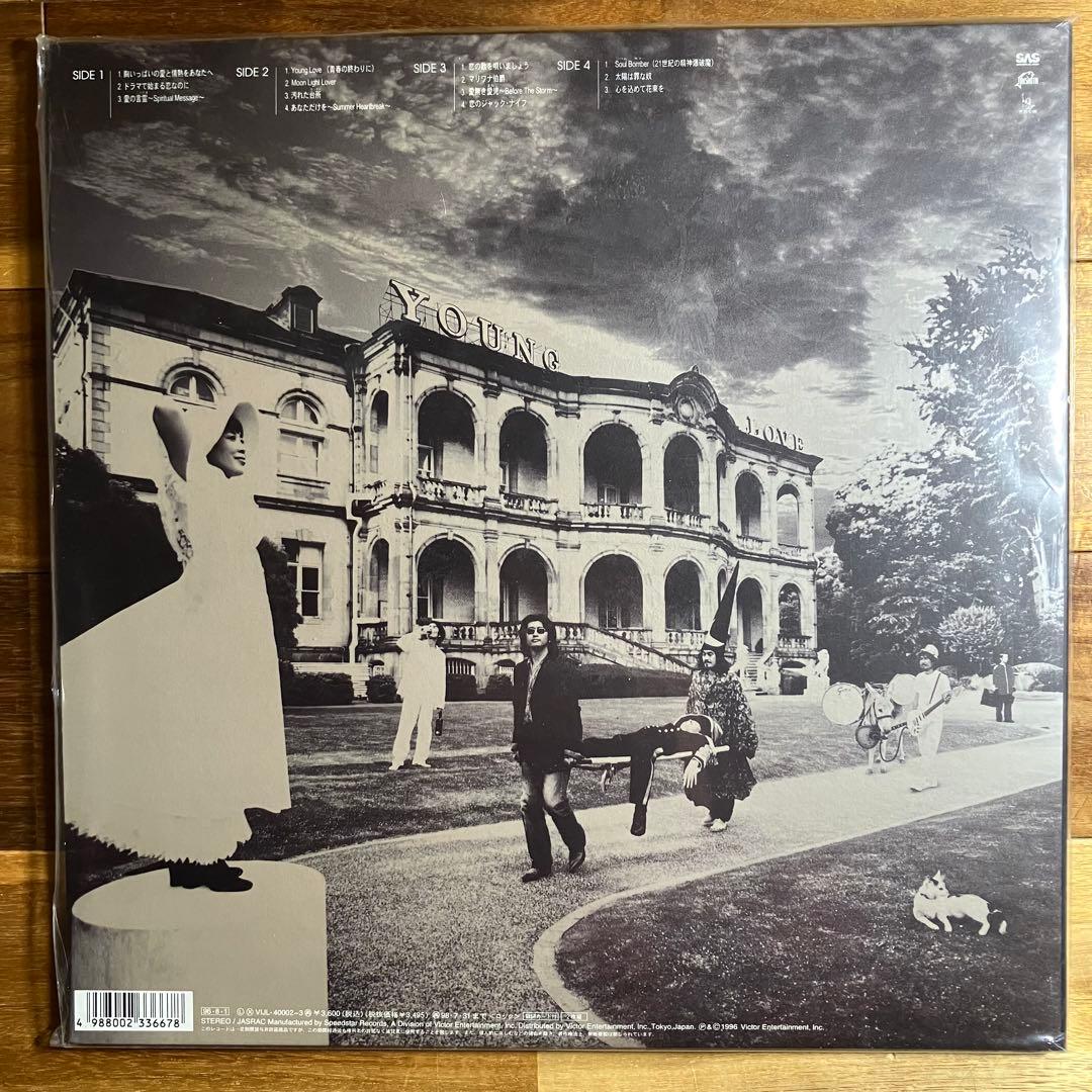 LP　サザンオールスターズ　「Young Love」　レコード　アナログ