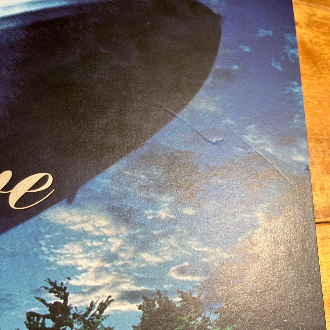 LP　サザンオールスターズ　「Young Love」　レコード　アナログ