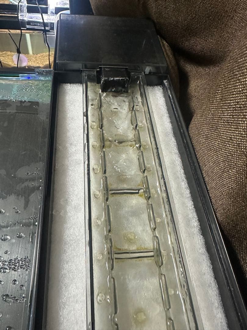 GEX 60センチ水槽セット